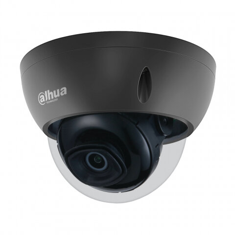 Dahua Mp Starlight Zwarte Poe Dome Ip Camera Avicam